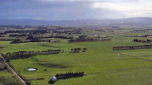 Status Update - Ongoing Ecological Assessments