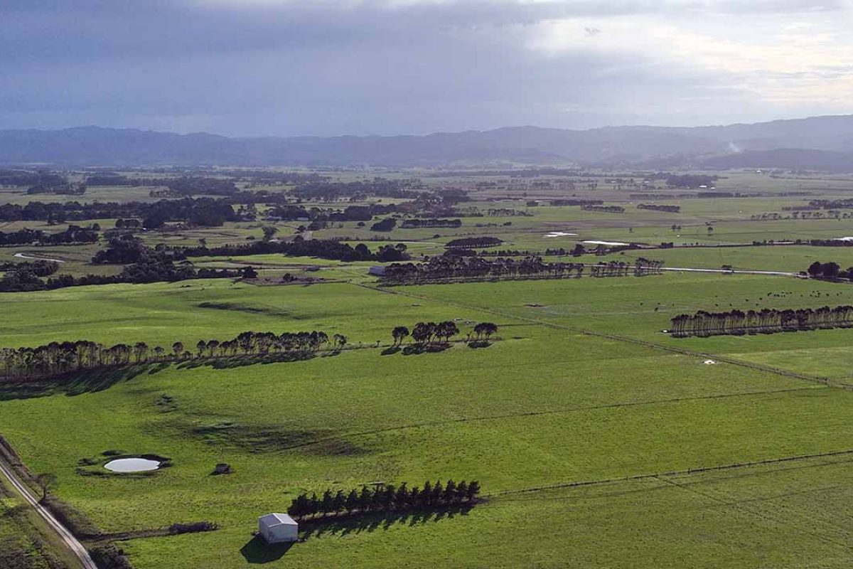 Status Update - Ongoing Ecological Assessments